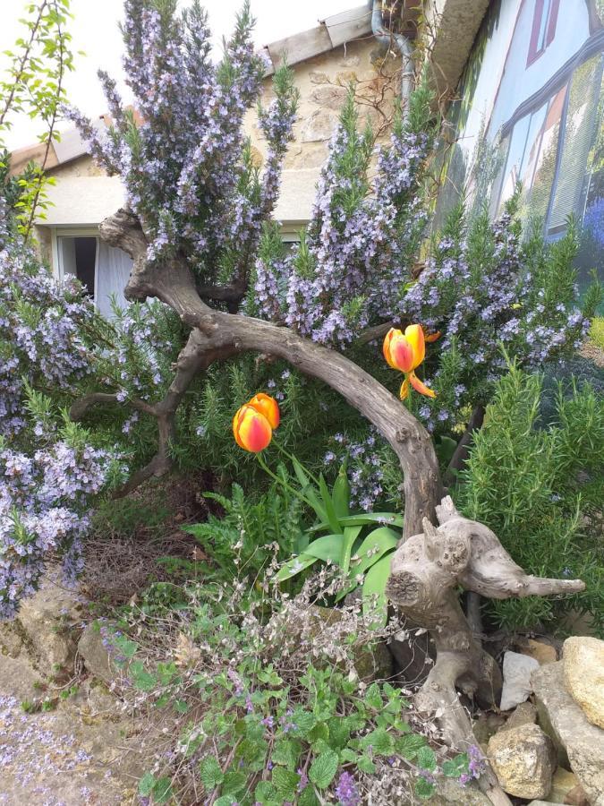 Gites De L'Alouette Boffres Εξωτερικό φωτογραφία